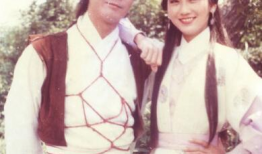 郑少秋赵雅芝电视剧